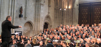 Performing in Bayeux Cathedral, 2014